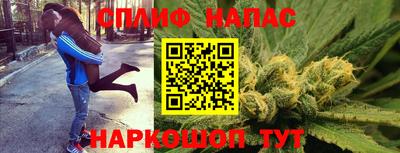 гашик Тара