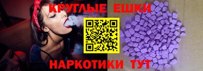 гашик Тара