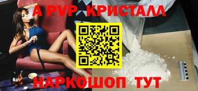 гашик Тара